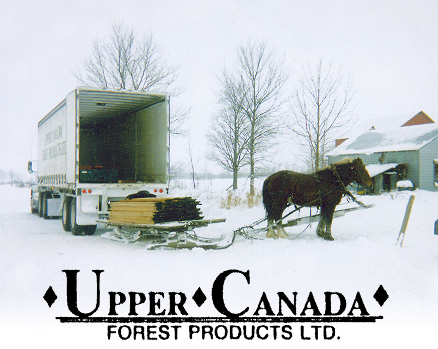 Wood products hauled by horse in snow