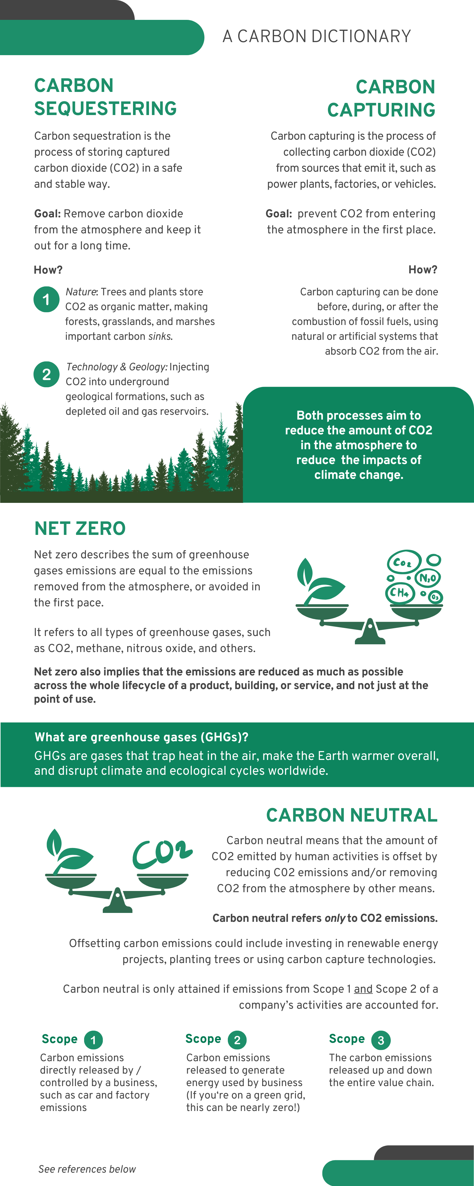 What is Carbon Sequestering, Carbon Capturing and Carbon Neutral?